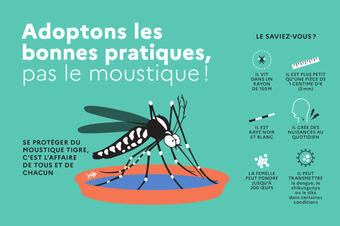 Ars22_moustique_tigre-1 Ars22_moustique_tigre-1