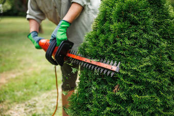 Entretien-vegetation Entretien-vegetation