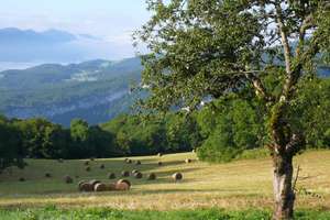 Paysage colline